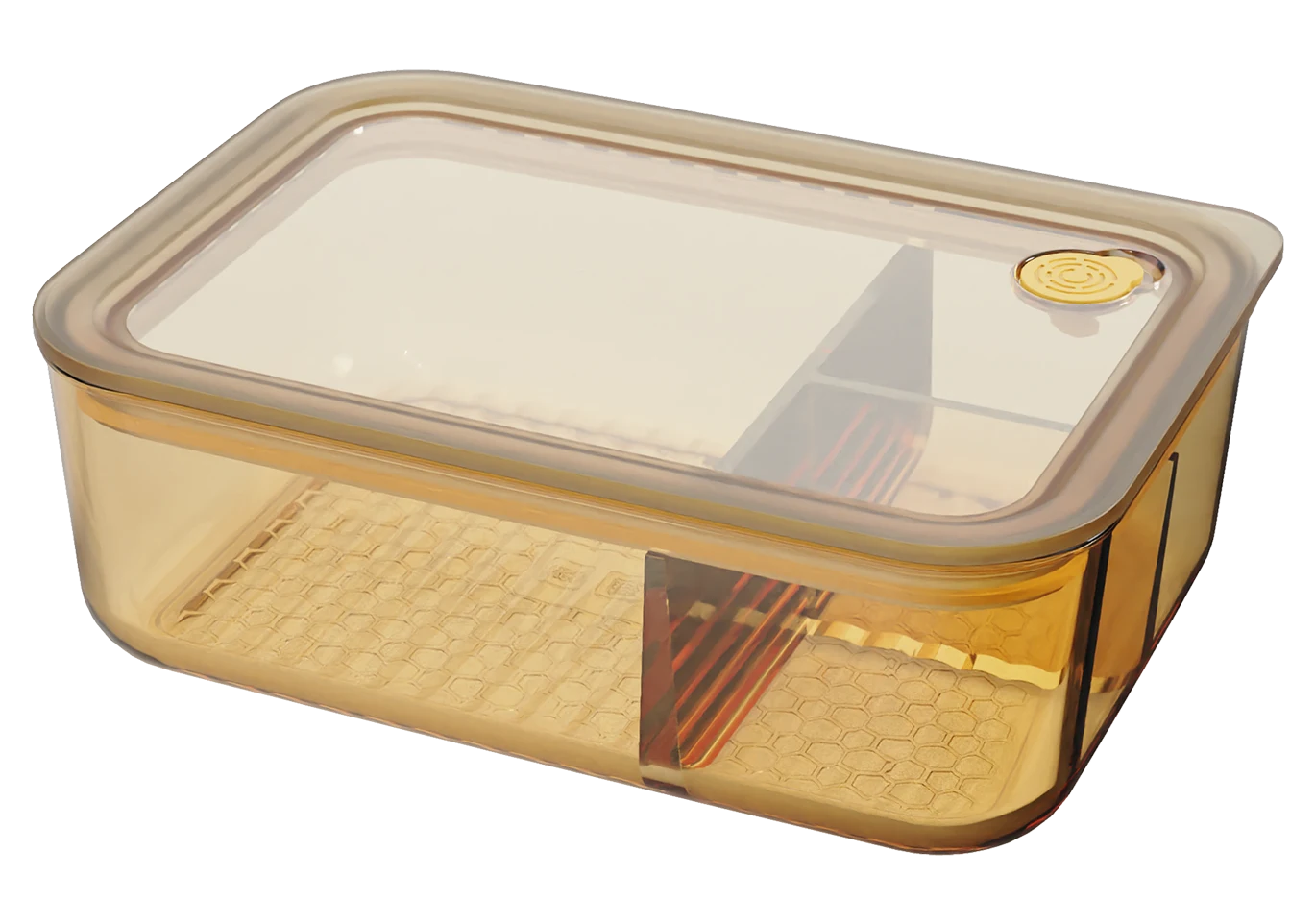 Rectangular Food Container