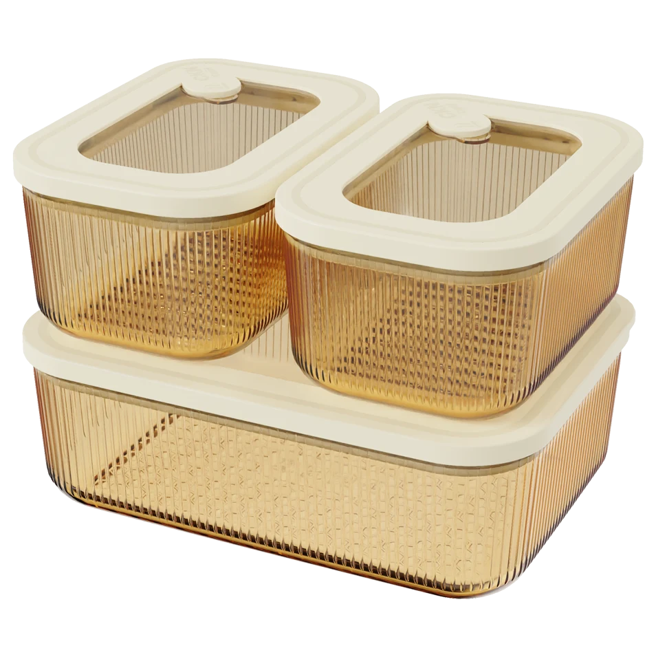 Rectangular Ribbed Food Container