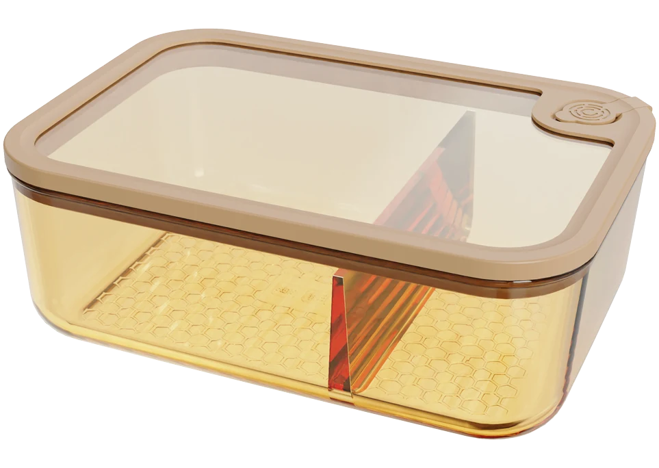 Rectangular Food Container