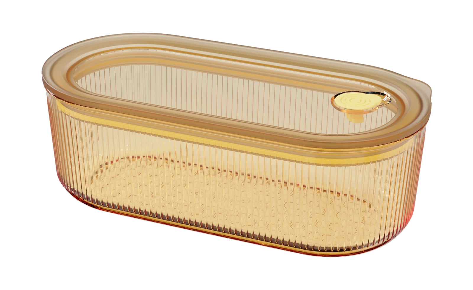 Oval Ribbed Food Container