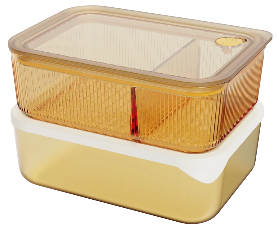 Rectangular Lunch Container