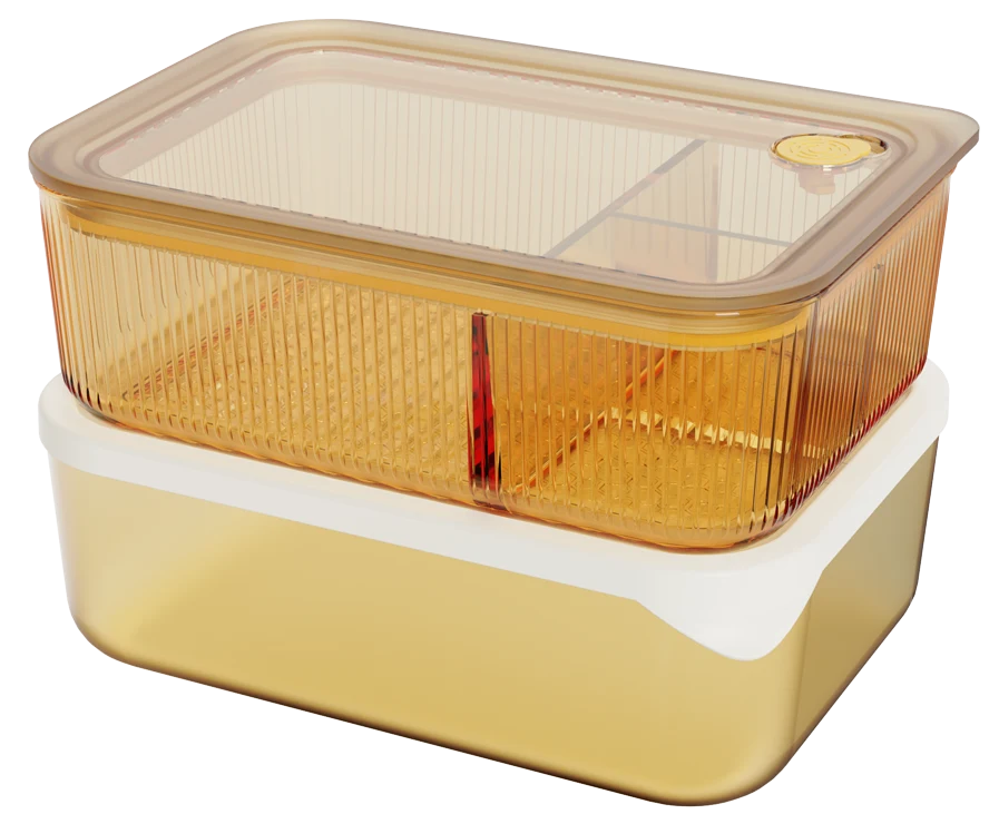 Rectangular Lunch Container