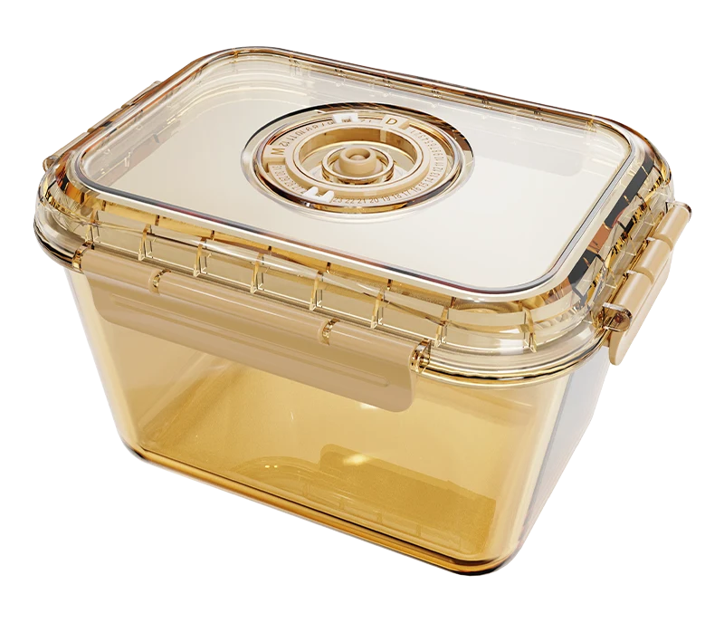 Rectangular Food Container