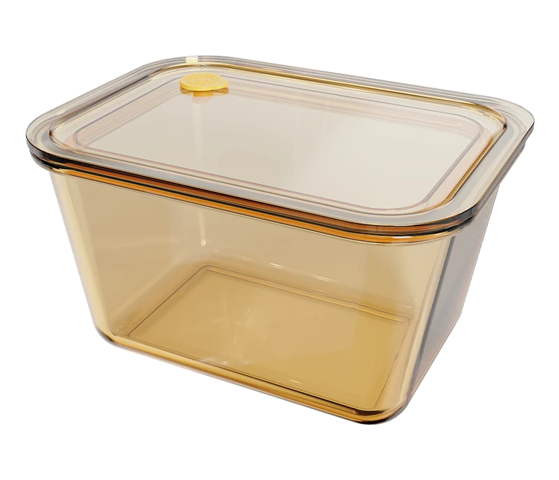 Rectangular Food Container