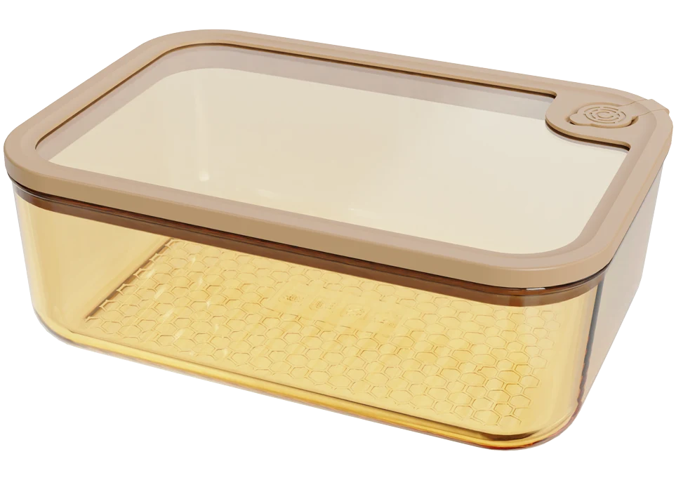 Rectangular Food Container